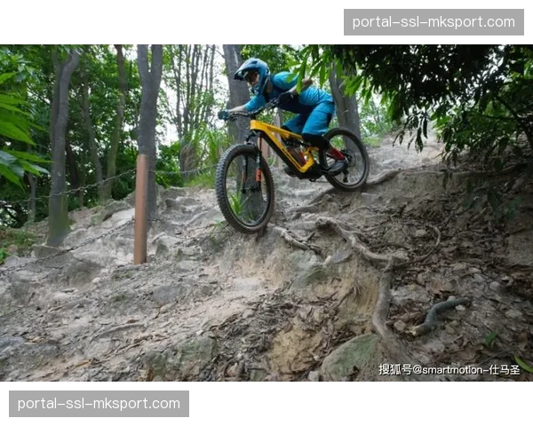 深度报道：电助力山地车（e-MTB）销量激增引发的传统赛道使用权争议