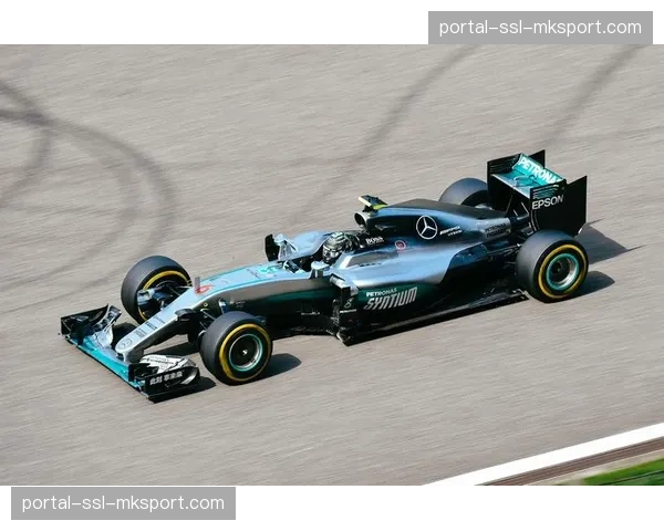 前F1世界冠军罗斯伯格将担任天空体育F1频道特邀评论员 前F1世界冠军罗斯伯格将担任天空体育F1频道特邀评论员